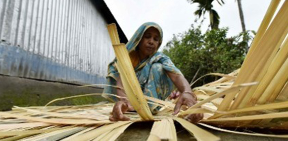 Traditional Mat Weaver
